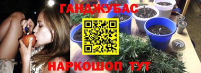 эйфоретик Владикавказ
